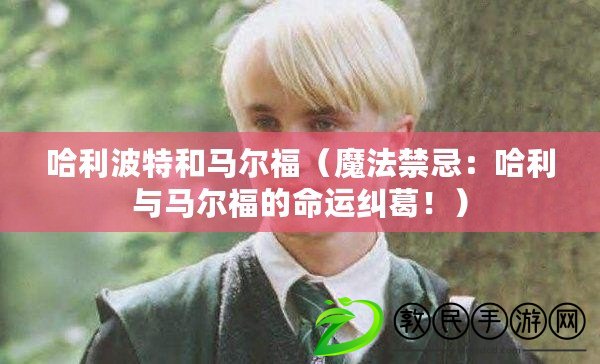 哈利波特和馬爾福（魔法禁忌：哈利與馬爾福的命運糾葛?。? title=