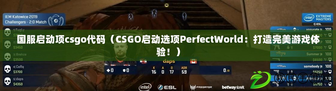 國服啟動項csgo代碼（CSGO啟動選項PerfectWorld：打造完美游戲體驗?。? title=