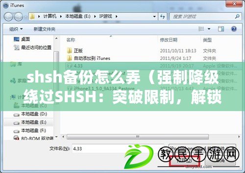 shsh備份怎么弄（強制降級繞過SHSH：突破限制，解鎖全新可能?。? title=