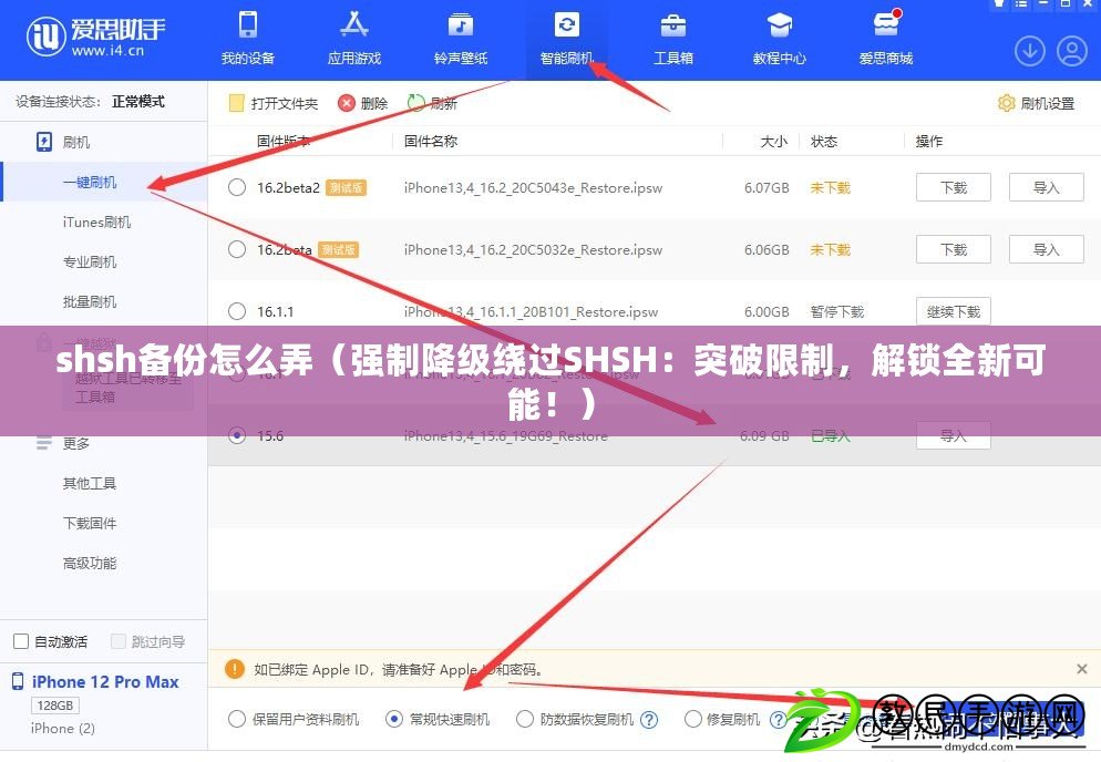 shsh備份怎么弄（強制降級繞過SHSH：突破限制，解鎖全新可能?。? title=