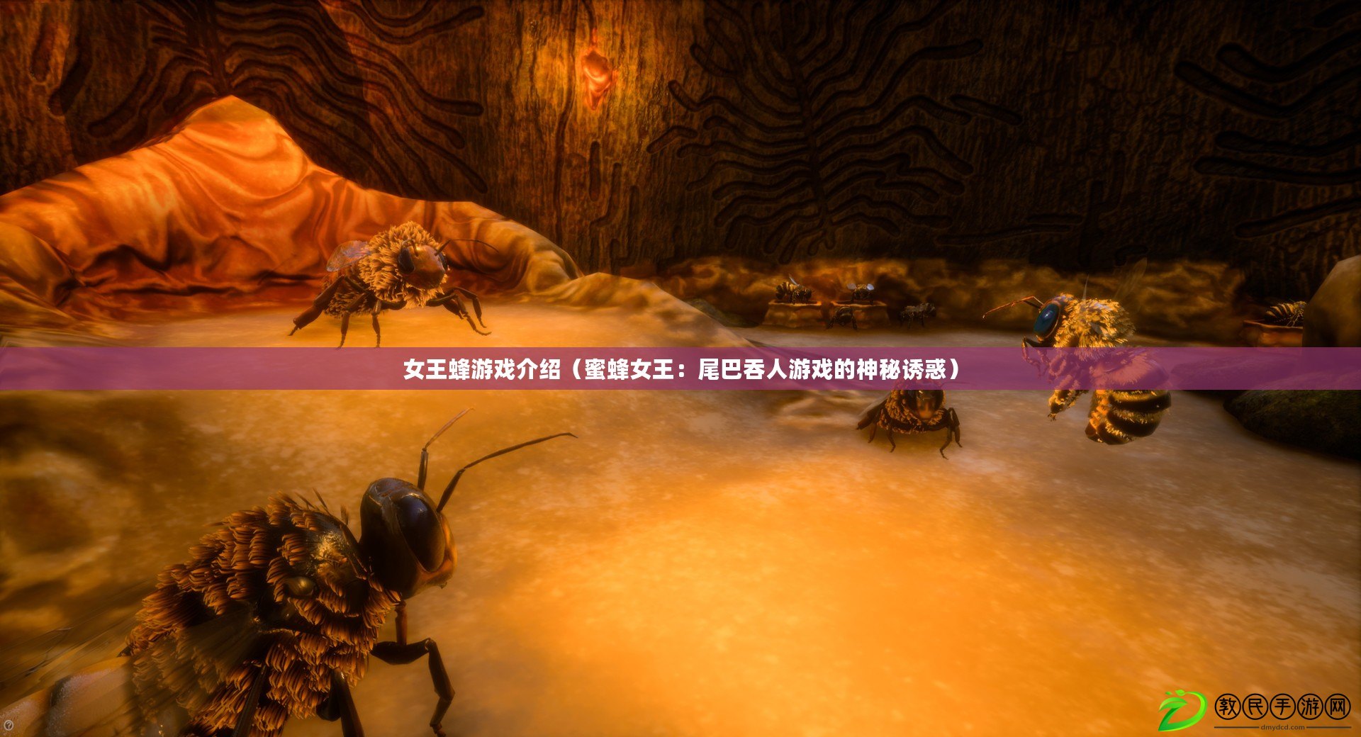 女王蜂游戲介紹(蜜蜂女王:尾巴吞人游戲的神秘誘惑) 女王蜂游戲介紹(蜜蜂女王:尾巴吞人游戲的神秘誘惑)