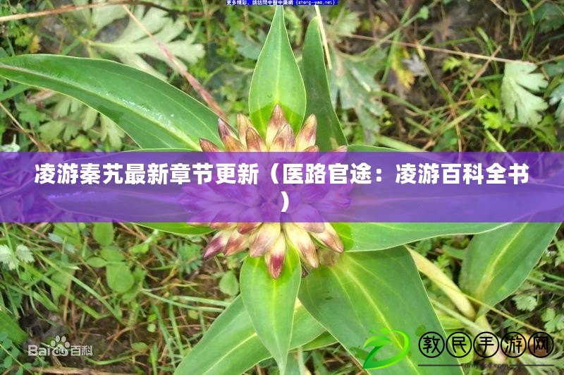 凌游秦艽最新章節更新（醫路官途：凌游百科全書）