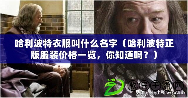 哈利波特衣服叫什么名字（哈利波特正版服裝價格一覽，你知道嗎？）