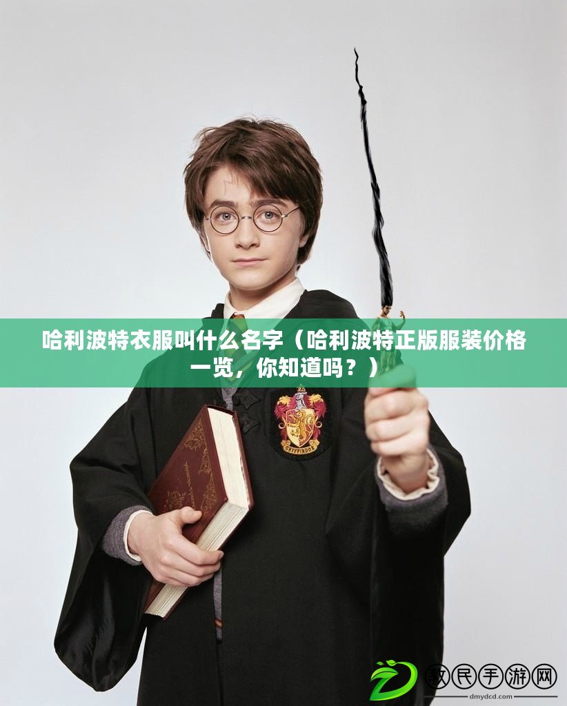 哈利波特衣服叫什么名字（哈利波特正版服裝價格一覽，你知道嗎？）