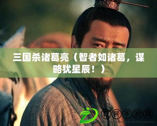 三國殺諸葛亮（智者如諸葛，謀略猶星辰?。? title=