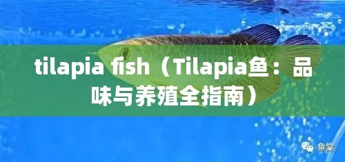 tilapia fish(Tilapia魚:品味與養殖全指南) tilapia fish(Tilapia魚:品味與養殖全指南)