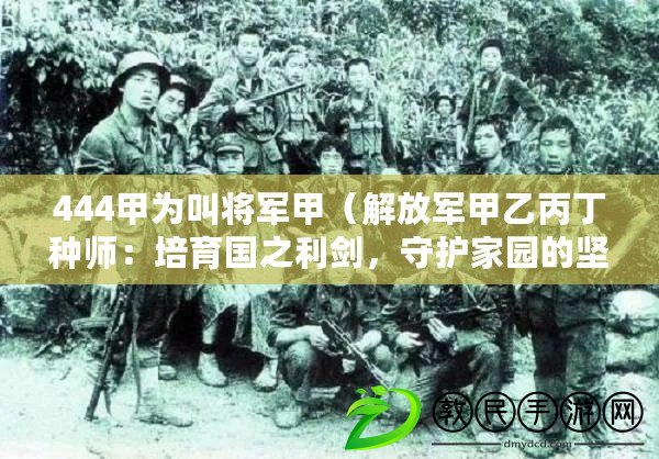 444甲為叫將軍甲（解放軍甲乙丙丁種師：培育國之利劍，守護家園的堅實防線）
