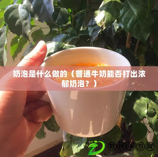 奶泡是什么做的（普通牛奶能否打出濃郁奶泡？）