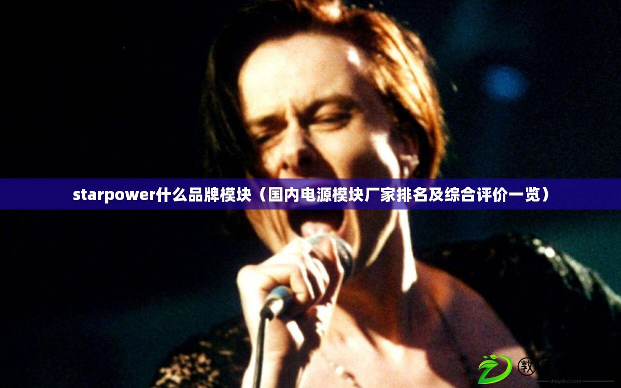 starpower什么品牌模塊(國內電源模塊廠家排名及綜合評價一覽) starpower什么品牌模塊(國內電源模塊廠家排名及綜合評價一覽)