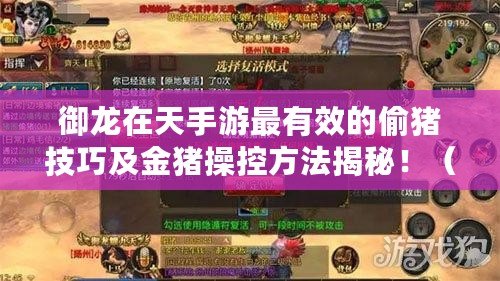 御龍在天手游最有效的偷豬技巧及金豬操控方法揭秘?。ǔ蔀橛堅谔焓钟沃械呢i之王，掌握三金豬的獨門秘訣?。? title=