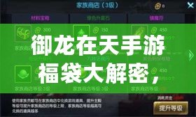御龍在天手游福袋大解密，揭秘隱藏珍稀裝備歸屬?。ǔ絺鹘y福袋，御龍在天手游福袋新玩法全面升級?。? title=