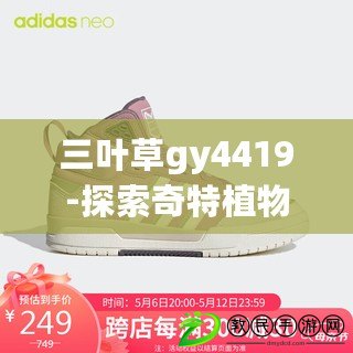 三葉草gy4419-探索奇特植物的奧秘 三葉草gy4419-探索奇特植物的奧秘