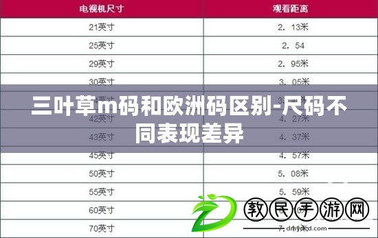 三葉草m碼和歐洲碼區別-尺碼不同表現差異