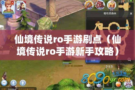 仙境傳說ro手游刷點（仙境傳說ro手游新手攻略）