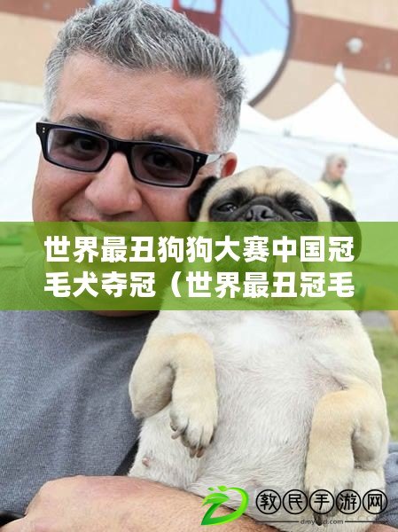 世界最丑狗狗大賽中國冠毛犬奪冠(世界最丑冠毛犬:揭秘這一奇特品種的外貌與特點) 世界最丑狗狗大賽中國冠毛犬奪冠(世界最丑冠毛犬:揭秘這一奇特品種的外貌與特點)