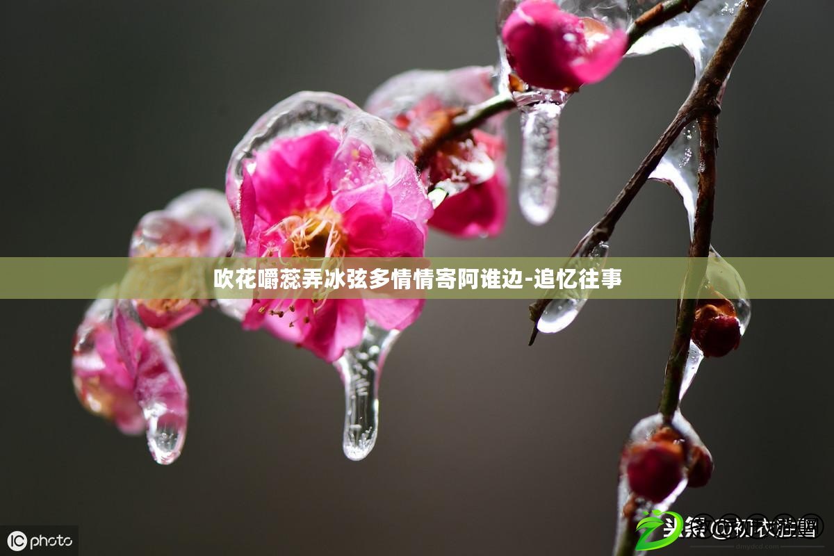 吹花嚼蕊弄冰弦多情情寄阿誰邊-追憶往事 吹花嚼蕊弄冰弦多情情寄阿誰邊-追憶往事