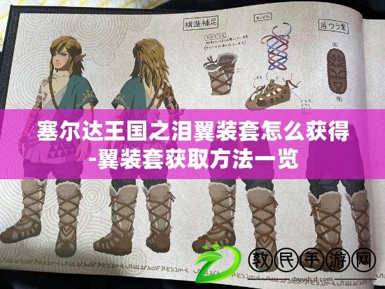 塞爾達王國之淚翼裝套怎么獲得-翼裝套獲取方法一覽
