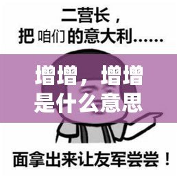 增增，增增是什么意思呀