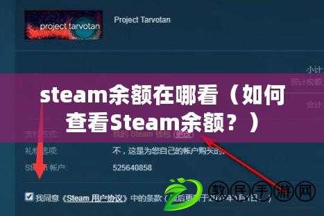 steam余額在哪看（如何查看Steam余額？）