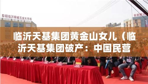 臨沂天基集團黃金山女兒(臨沂天基集團破產:中國民營企業倒閉潮下的警示與啟示) 臨沂天基集團黃金山女兒(臨沂天基集團破產:中國民營企業倒閉潮下的警示與啟示)