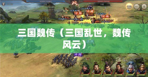 三國魏傳（三國亂世，魏傳風云）